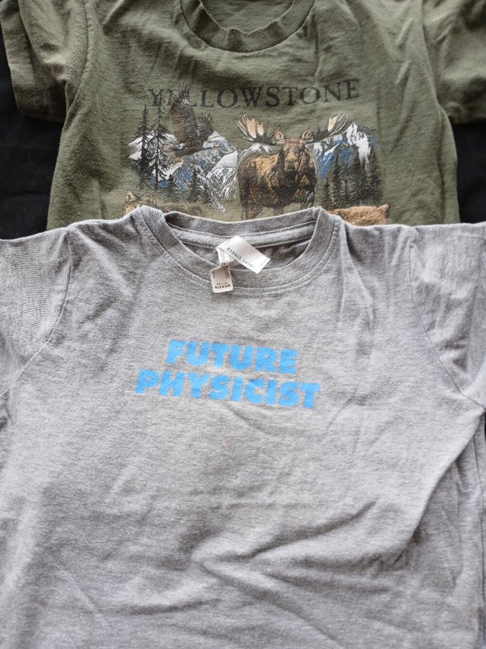 Boys’ T-Shirt Bundle .  5/6T. American Physical Society & Yellowstone Apparel